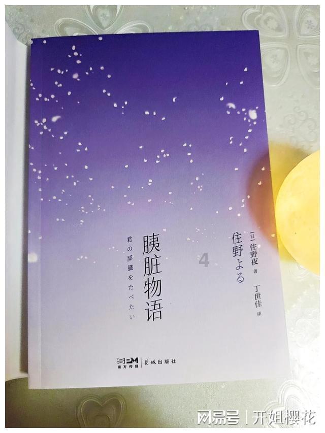 小猫钓鱼正版下载中文版