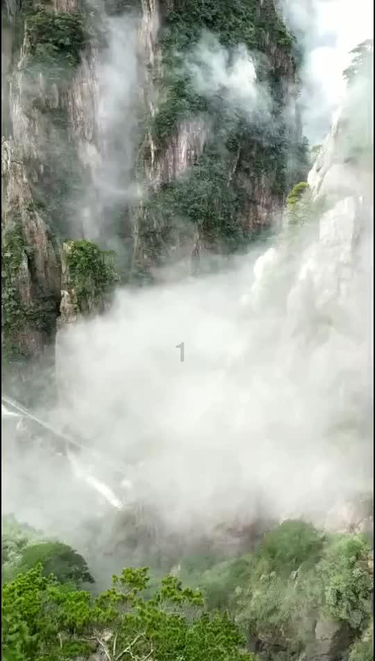 了解今年属虎的是不是运气不好?,加入知识星球获取深度知识分享